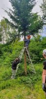 WhatsApp_Image_2019-07-04_at_091704_1