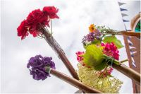 ch1848_sf_02_2025_103